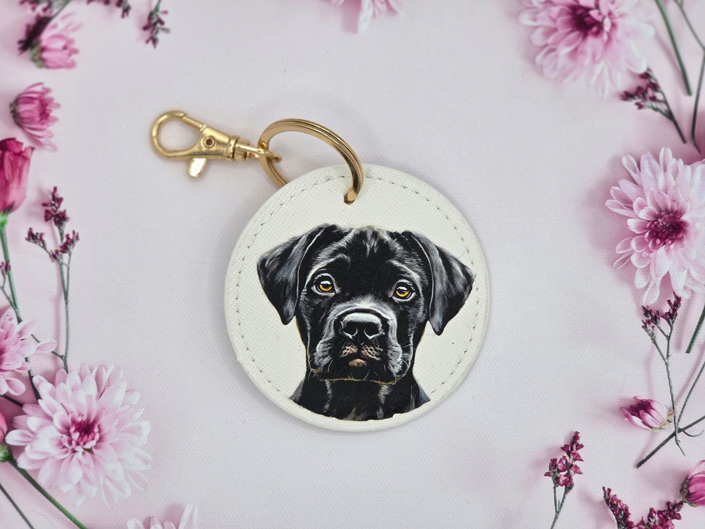 Cane Corso