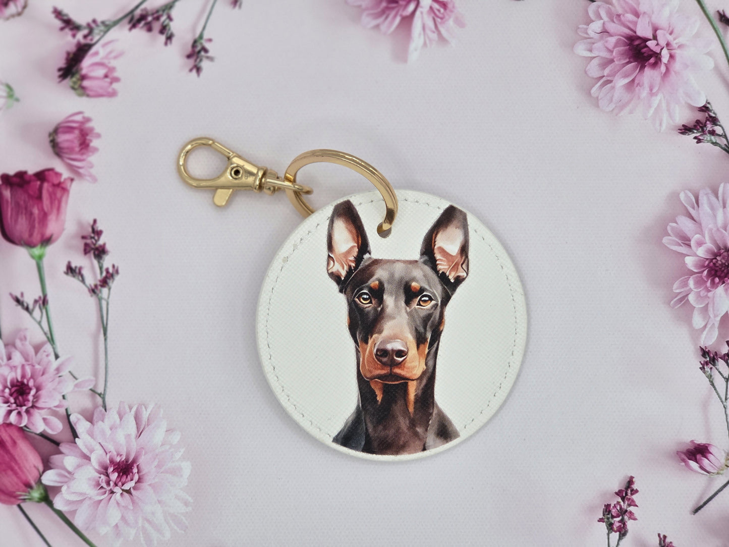Brown Doberman