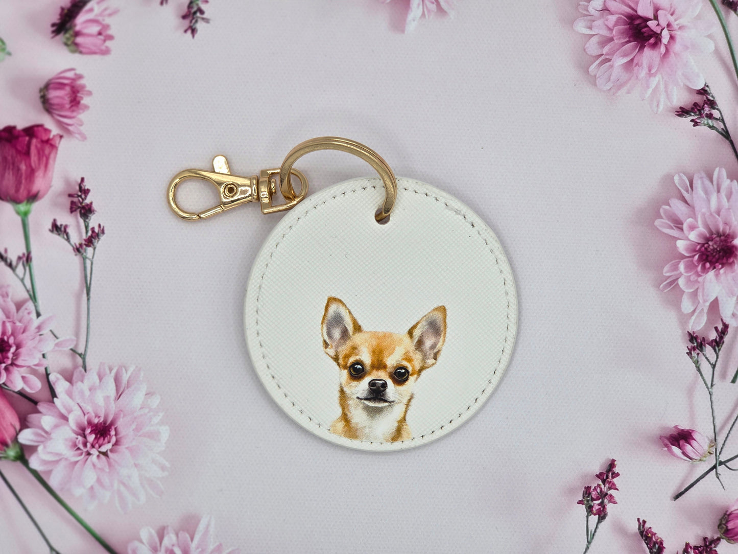 Chihuahua