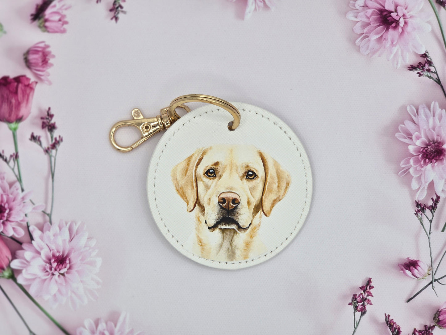 Golden Labrador