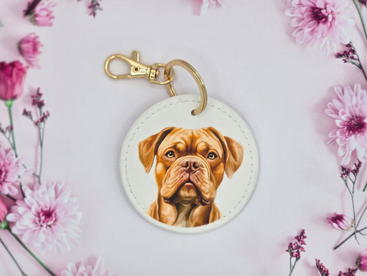 Dog de Bordeaux