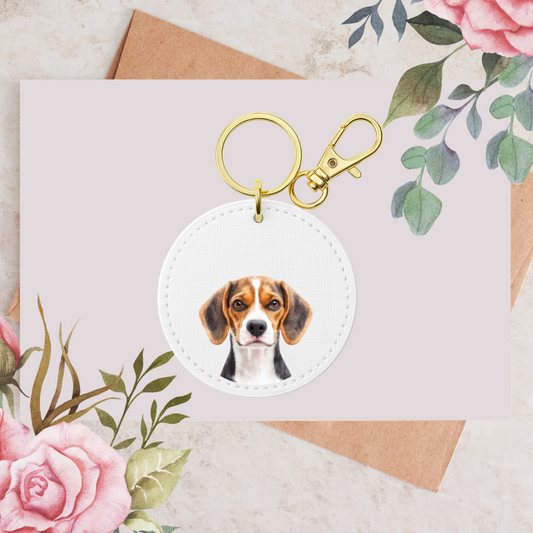 Beagle