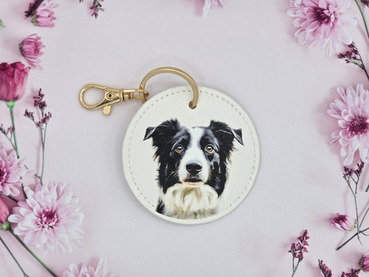 Black Border Collie