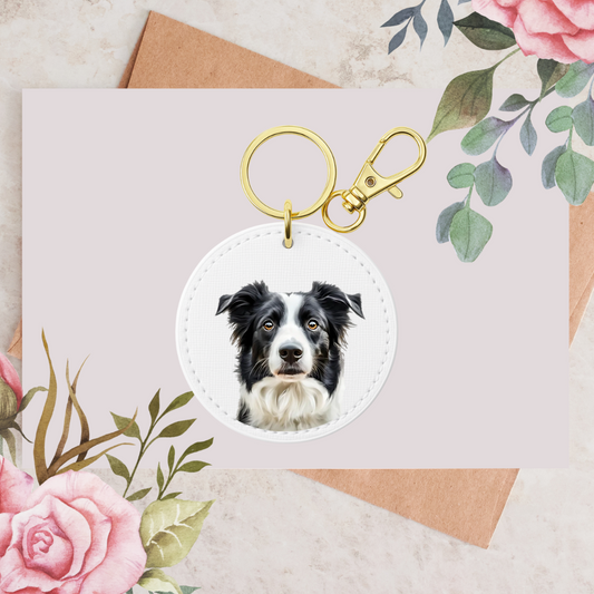Black Border Collie