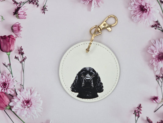Black Cocker Spaniel