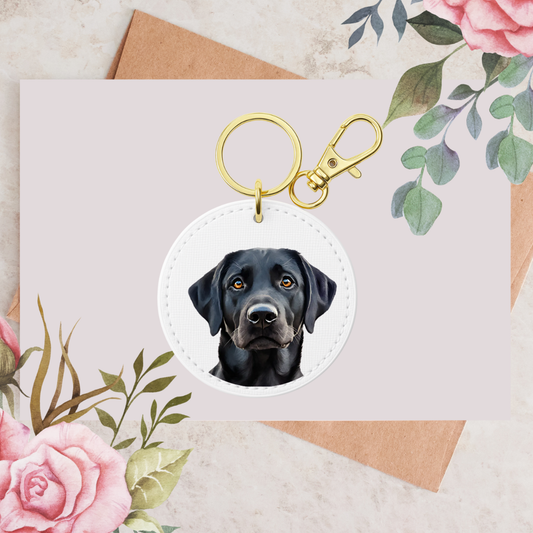 Black Labrador