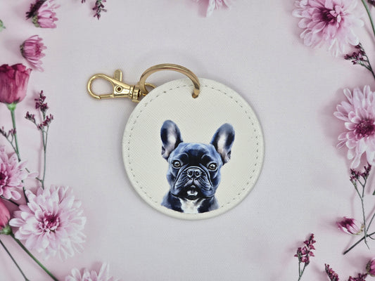 Blue Frenchie