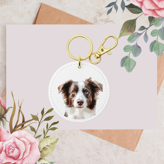 Brown Border Collie