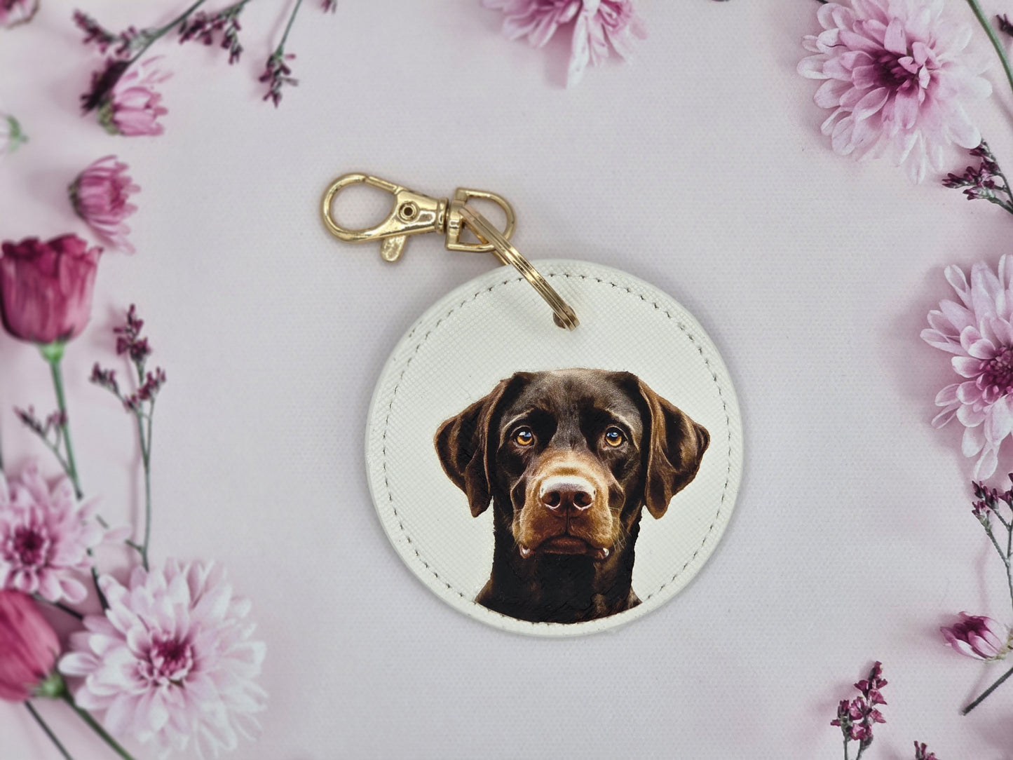 Chocolate Labrador