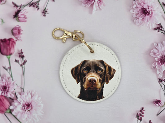 Chocolate Labrador