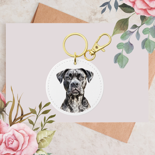 Cane Corso