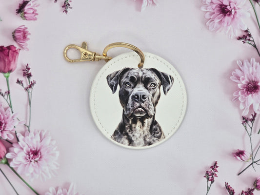 Cane Corso