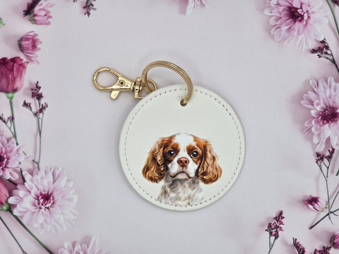 Cavalier King Charles