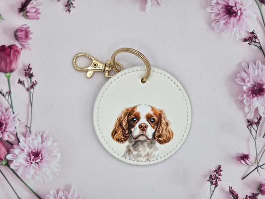 Cavalier King Charles
