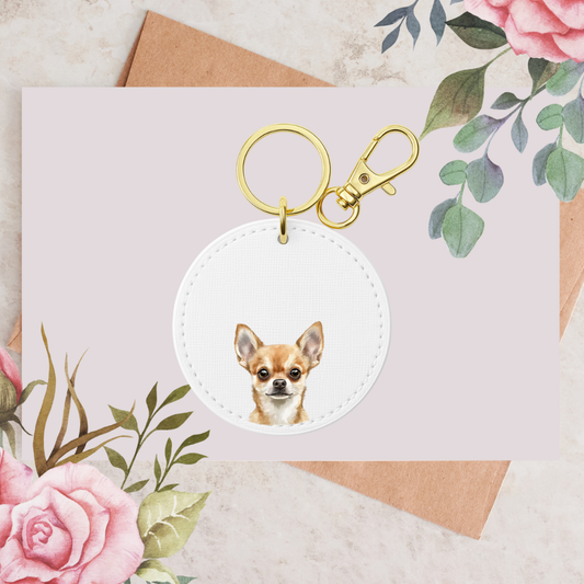 Chihuahua