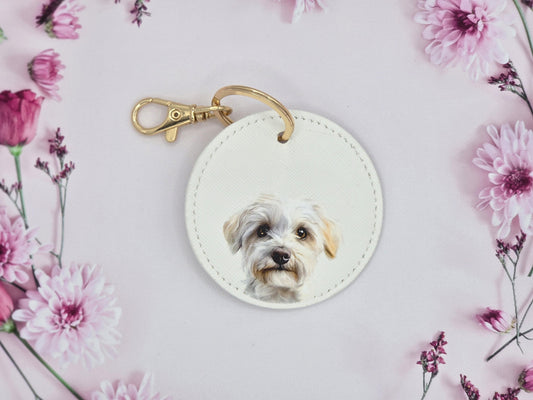 Dandie Dinmont Terrier