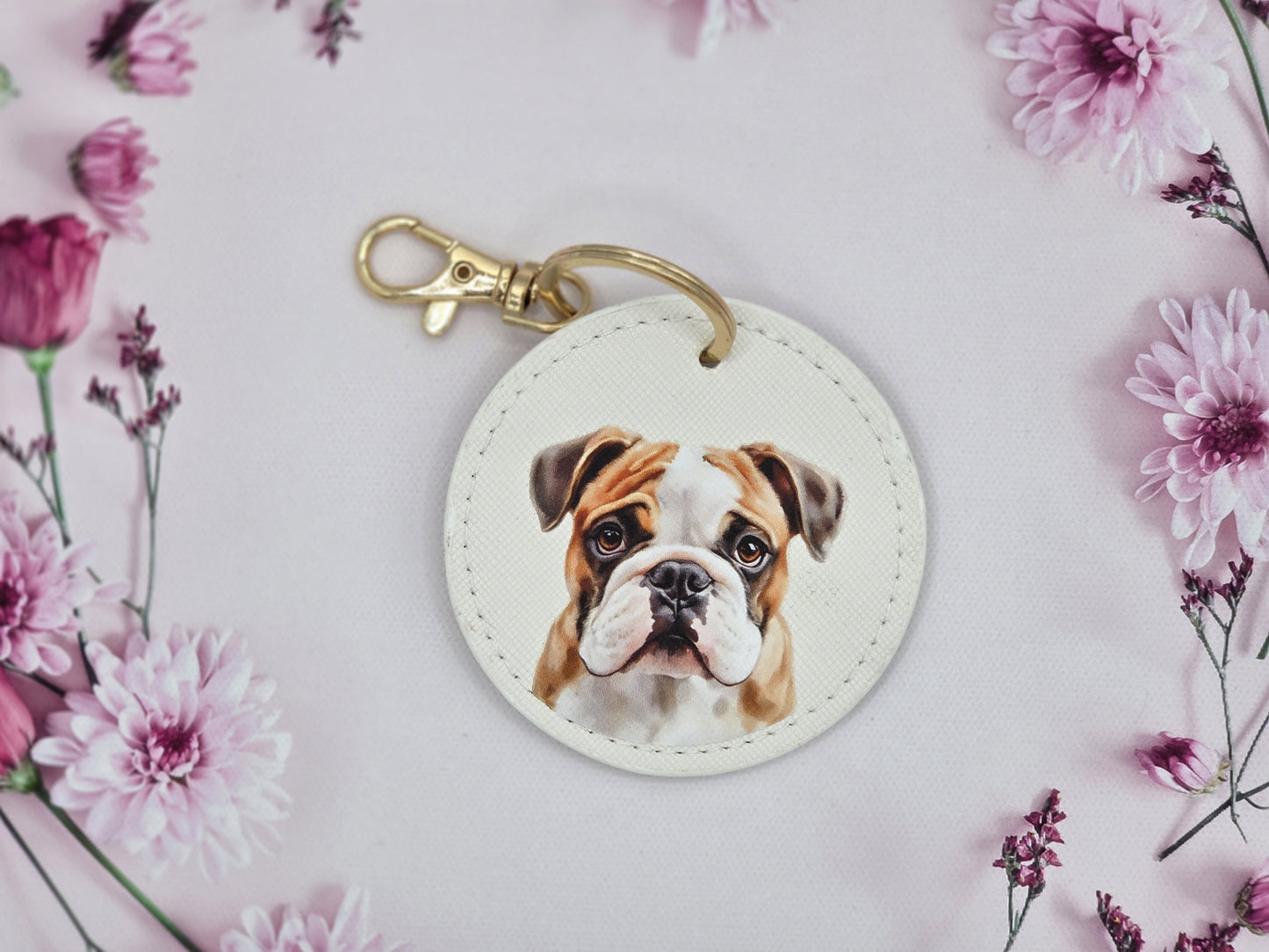 English Bulldog