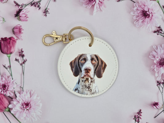English Pointer