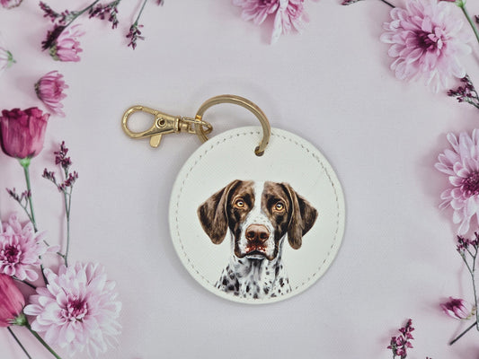 German Shorthaired Pointer