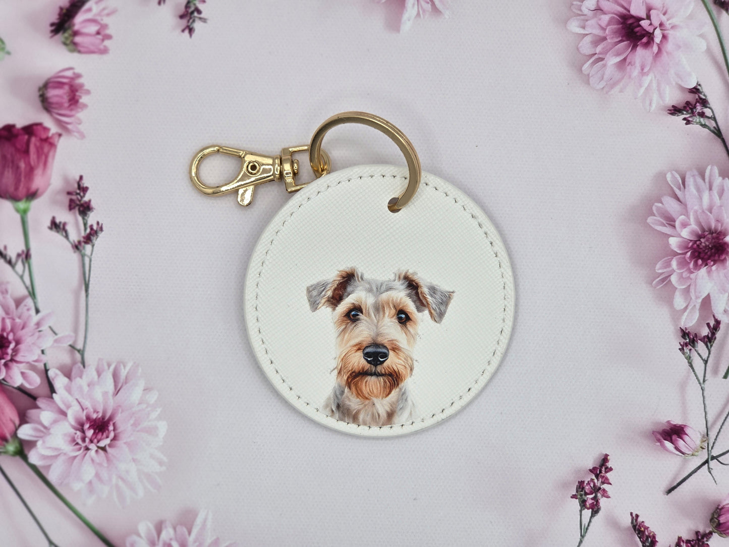 Lakeland Terrier