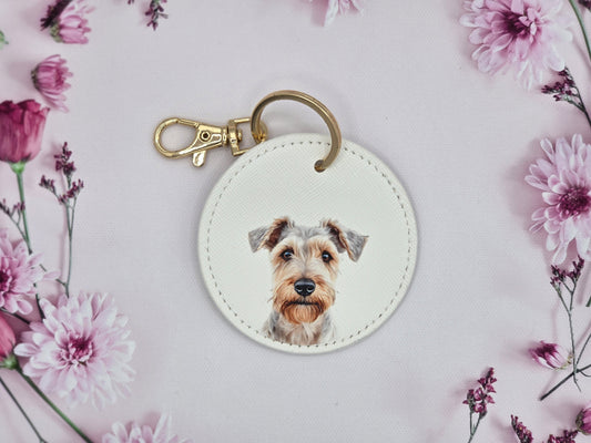 Lakeland Terrier