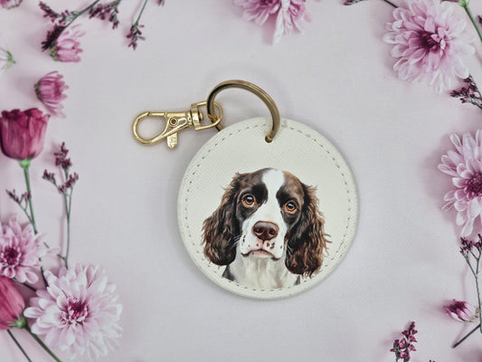 Springer Spaniel