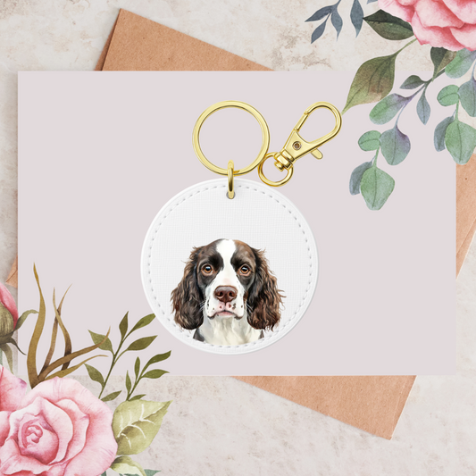 Springer Spaniel